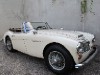 1967 Austin-Healey BJ8