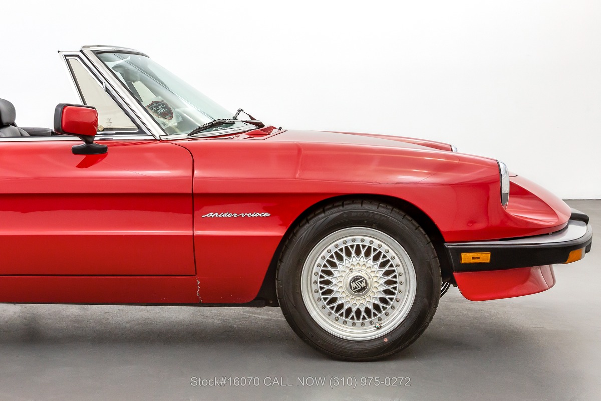 Used 1987 Alfa Romeo Spider Veloce | St. Petersburg, FL
