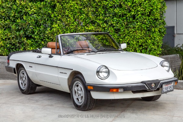 1986 Alfa Romeo Spider Veloce