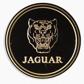 jaguar emblem