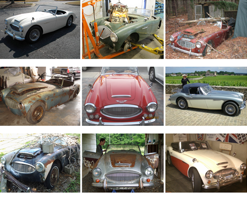 top healey buyer